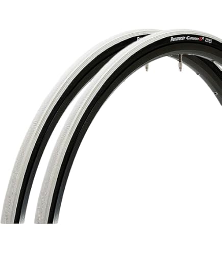 Amazon | パナレーサー(Panaracer) クリンチャー タイヤ 2本